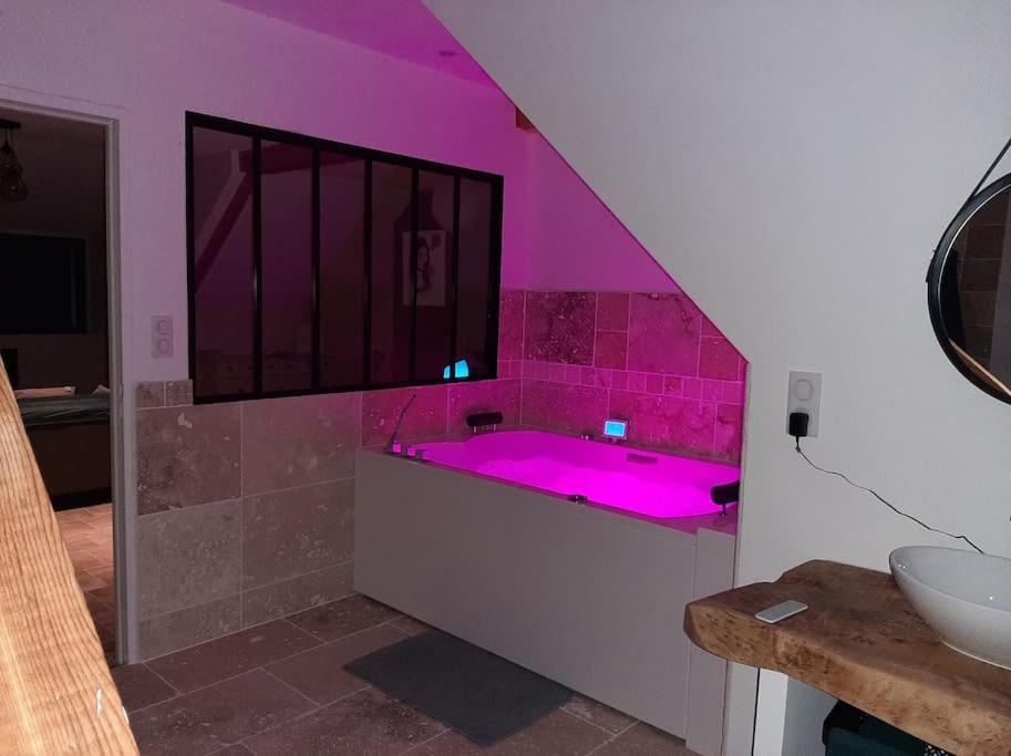 Appartement Chaleureux Avec Jacuzzi Banassac Exterior photo